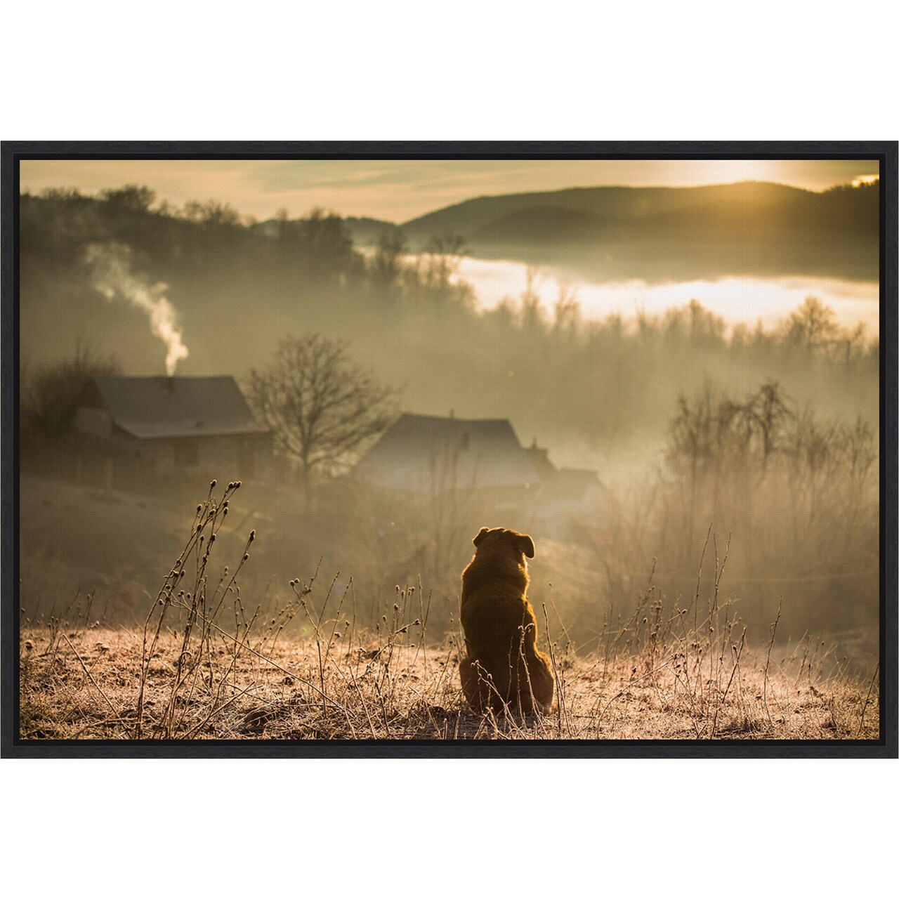 good connection by Georgiana Lefter 23-in. W x 16-in. H. Canvas Wall Art Print Framed in Black